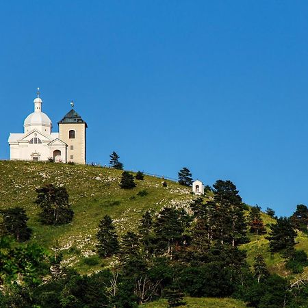 Penzion Terasa Cibulka Mikulov Kültér fotó