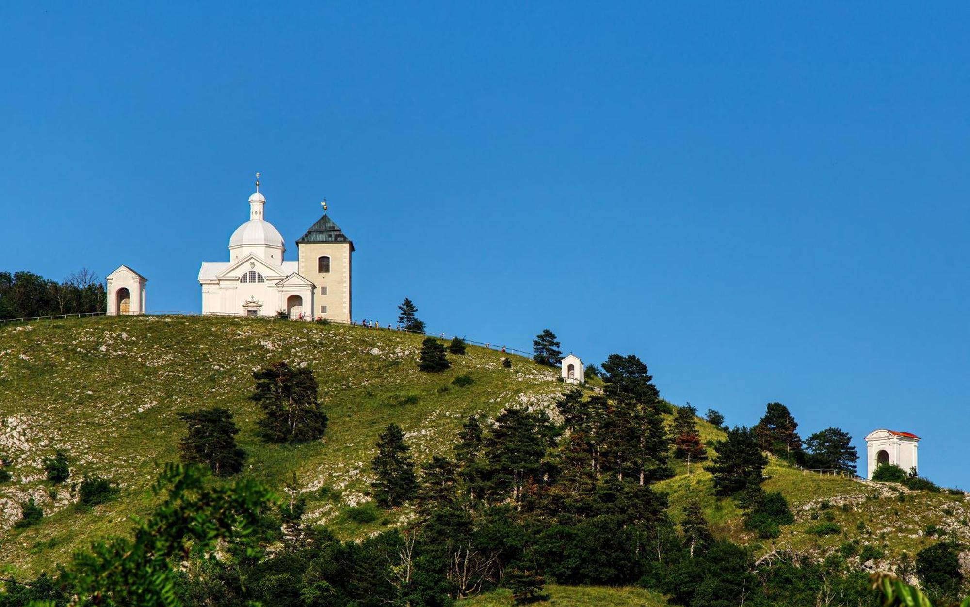 Penzion Terasa Cibulka Mikulov Kültér fotó